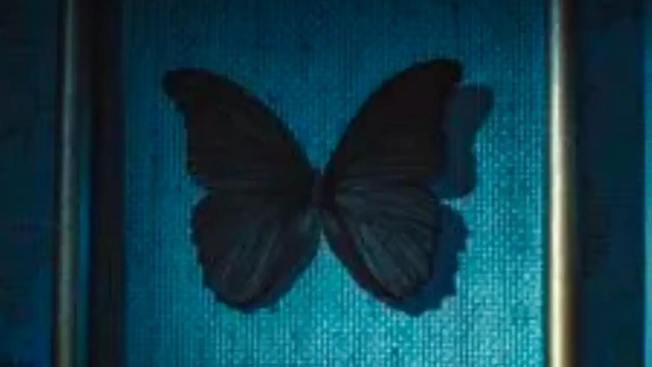 borboletas-negras