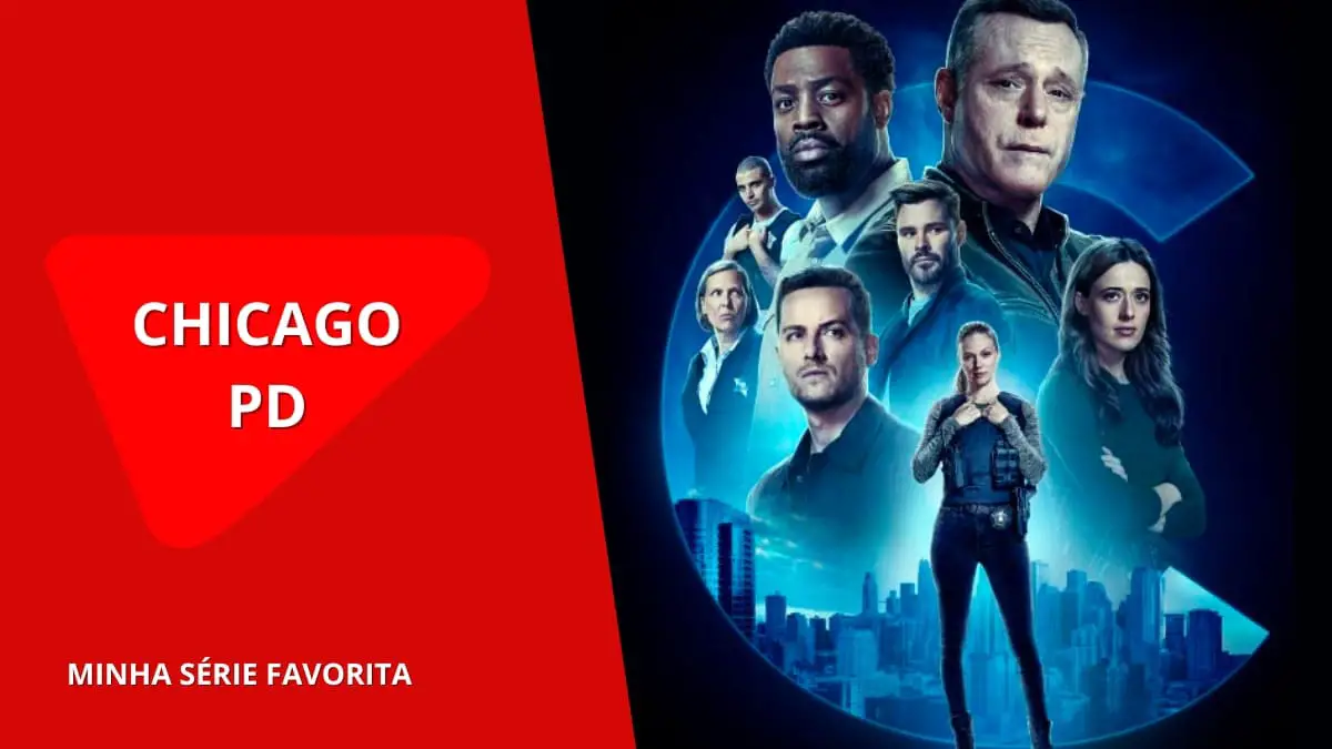 11-chicago-pd